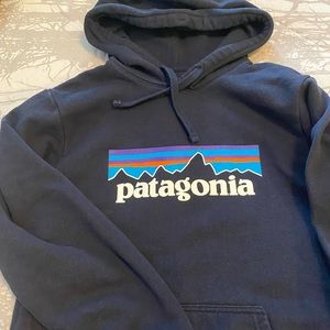 Patagonia Navy Hoodie with Multicolor Logo